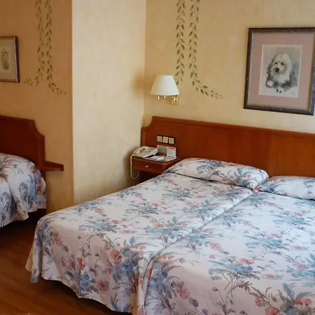 Regencia Colon Otel 3*